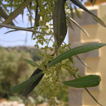 Stratos Villas Kaloniktis Buitenkant foto